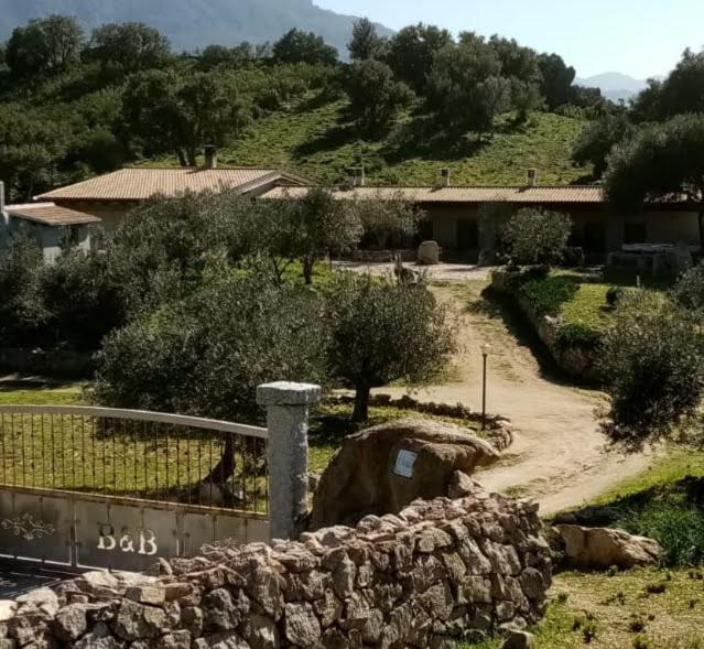 B&B Sa Mendula Oliena Kültér fotó