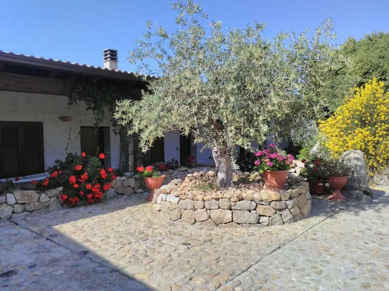 B&B Sa Mendula Oliena Kültér fotó